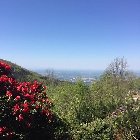 On The Hill Apartment Sasbachwalden Bagian luar foto