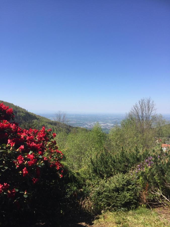 On The Hill Apartment Sasbachwalden Bagian luar foto