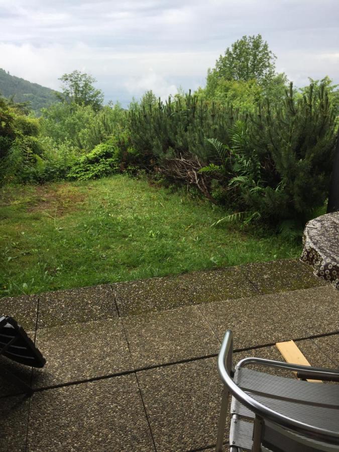 On The Hill Apartment Sasbachwalden Bagian luar foto